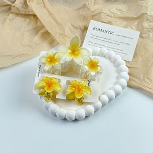 Juego de Pinzas para el Cabello con Flores Coloridas al por Mayor de Qianjin, Accesorios para el Cabello de Plástico para Mujeres y Niñas, Pinza para el Cabello de Primavera - Product Image 5