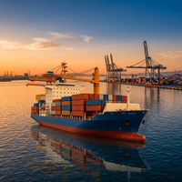 Service de logistique DDP Israël, livraison porte-à-porte, dédouanement professionnel, taxes payées, transitaire aérien + express spécial