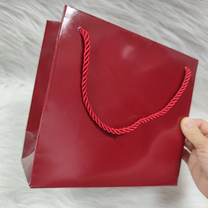 Red Glossy Paper Gift Bags Rope Handle Shopping <b>Packaging</b> Bags Custom Logo Retail Boutique Use Jewelry <b>Packaging</b> Bags with Logo - Product Image 6