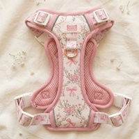 Sunraymascota OEM Vente en gros Harnais-collier réfléchissant réglable en néoprène floral pour animaux de compagnie, rembourré et doux, personnalisé pour l'été