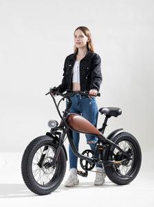 <span class=keywords><strong>Vélo</strong></span> <span class=keywords><strong>électrique</strong></span> <span class=keywords><strong>tout</strong></span>-<span class=keywords><strong>terrain</strong></span> à gros pneus, puissant et longue portée, style rétro, vente chaude, directement de l'usine, pour <span class=keywords><strong>femme</strong></span> - Product Image 2