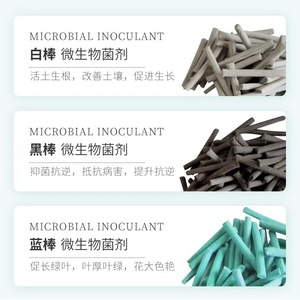 Fertilizzante in <span class=keywords><strong>stick</strong></span> a lento rilascio personalizzato all'ingrosso per piante, alberi e fiori in vaso, ricco di nutrienti per un giardino verde - Product Image 5