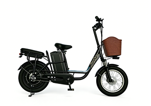 Vélo électrique 48V, moteur sans balais 250W, roues de 16 pouces, freins à disque, batterie au lithium, vélo électrique pour usage urbain - Product Image 3