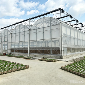 Serra Commerciale Grande Multi-Span a Singola Trave, Set Completo per Agricoltura Commerciale, di Grande Successo - Product Image 3