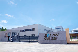 Oem 100% 自然マリーゴールド花エキスキサントフィル20% ルテインエスターパウダー目食品添加物 - Product Image 6