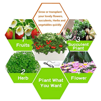Systèmes de culture de plantes d'intérieur Jardinière de légumes Pompe pour plantes Serre en plastique Cabinet vertical de culture hydroponique Bureau