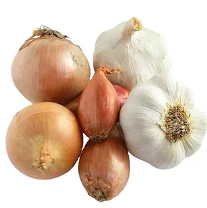 Onion fresh Chinese red yellow and white onion wholesale fresh vegetables loose mesh bag fresh onions