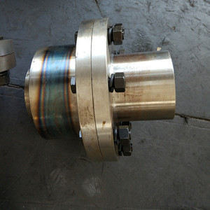 Accouplement d'arbre industriel pour systèmes d'entraînement de grues aériennes et de grues portiques - Product Image 2