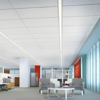 Fábrica de China Acústica Perforar Caída falsa Metal Panel de techo de aluminio Techo suspendido
