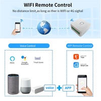 Module commutateur WiFi intelligent, pour projets d'automatisation, fonctionne avec application et commande vocale