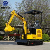 Mini excavatrice Rippa R325 avec accessoires Machine d'excavatrice Trancheuse de sorcière de fossé