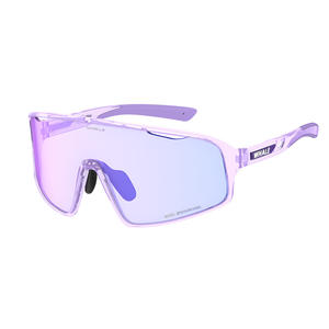 Gafas de Ciclismo Fotocromáticas Whale R9, Marco de Plástico, Antideslizantes, Gafas Deportivas para Exteriores, Modelo Masculino YDJ900 - Product Image 1
