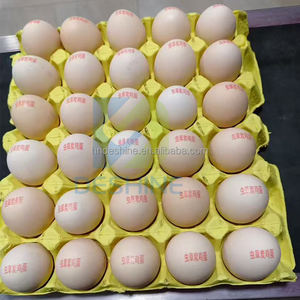 Impresora de <span class=keywords><strong>Huevos</strong></span> de Inyección de Tinta con Seis Cabezales de Impresión, Producción Continua, Fecha, Logotipo, Marcado de <span class=keywords><strong>Huevos</strong></span>, Máquina de Codificación con Cinta Transportadora - Product Image 6