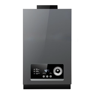 Calentador <span class=keywords><strong>de</strong></span> Agua a <span class=keywords><strong>Gas</strong></span> sin Tanque <span class=keywords><strong>de</strong></span> Cobre <span class=keywords><strong>de</strong></span> Ahorro Energético 12-16L, Calentador <span class=keywords><strong>de</strong></span> Agua Instantáneo a <span class=keywords><strong>Gas</strong></span> <span class=keywords><strong>Natural</strong></span>/GLP para Uso Doméstico en Baño y Cocina - Product Image 2