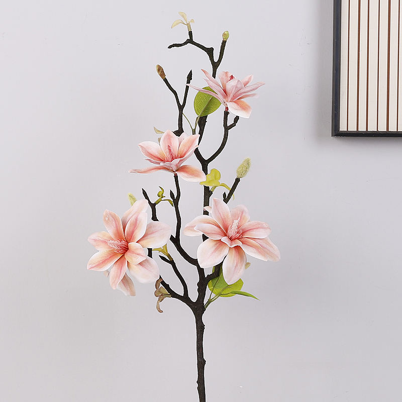 ดอกบัวสีชมพู