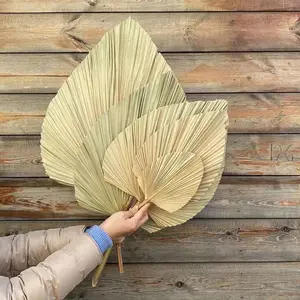 Wholesale Palm Leaves for Wedding decor natural dried fan