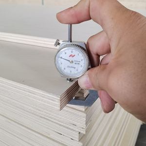 <span class=keywords><strong>Compensato</strong></span> <span class=keywords><strong>di</strong></span> Betulla 18mm 12mm 6mm Foglio 4x8 Faccia B/B Finitura UV Opzionale <span class=keywords><strong>2</strong></span> Lati Grado E0 Adesivo <span class=keywords><strong>Compensato</strong></span> <span class=keywords><strong>di</strong></span> Betulla Baltica per Mobili - Product Image 4