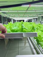 Infrastructures d'irrigation et de fertigation automatisées compatibles avec l'IoT pour l'agriculture de précision