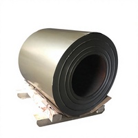 Bobine d'acier laminé à froid prélaqué SGCC couleur personnalisée pour panneaux d'appareils électroménagers