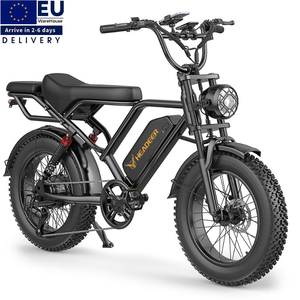 EU Warehouse 48V20Ah Battery 20"Fat Bike Electric Ebike Rear Hub Motor 7-Speed Dual Suspension Mountain Road City Bicycle - Product Image 1