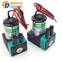 3W Kecil Sypda Ink Pump untuk Phaetion/Infiniti/Galaxy/Witcolor Printer