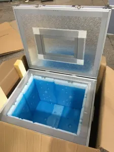 Caixa plástica de alto desempenho ecológica para refrigerador de sorvete de plástico PP de qualidade alimentar com material Oxford de tijolo de gelo -22C