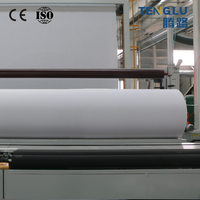Géotextile non tissé multifonctionnel en PP/PET 300g-800g pour la protection côtière, le drainage des talus et la remise en état des terres