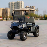 Voiturette de golf électrique à batterie au plomb-acide mini haute vitesse homologuée pour la route, 2 places, Club Car, pour la chasse, batterie 48v, aluminium, 90km, CE, queue