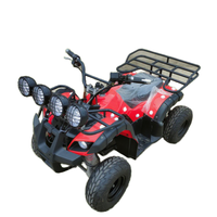 Voiture électrique pour adultes, buggy de plage, voiture commerciale pour enfants, voiture de parc d'attractions pour enfants, machine de jeu d'arcade, pour centres commerciaux