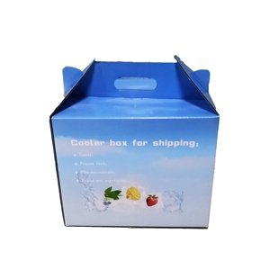 Custom Cooler Box for Food Shipping Aluminum Foil Insulated Foam Thermal Box