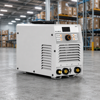Poste à souder TIG 300GTS DC Inverter MMA double tension 220V 380V 300A pour soudage à l'arc tungstène argon de l'acier inoxydable
