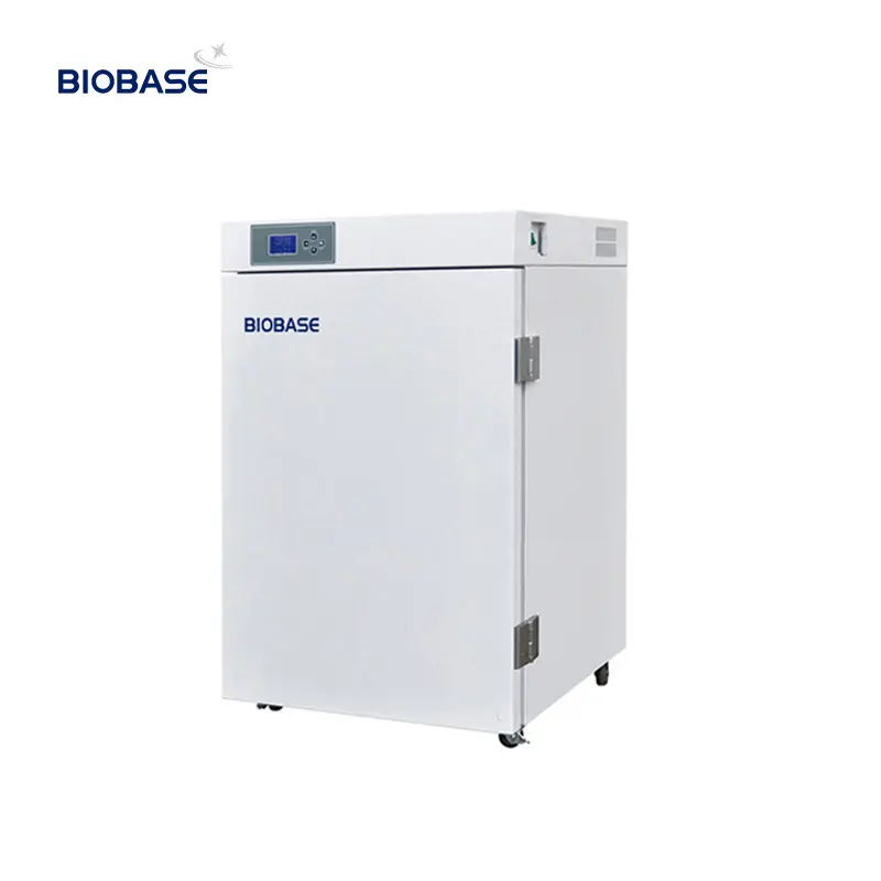 BIOBASE Chine Discount RT + 5 ~ 60c 160L Incubateur de laboratoire électronique à température constante biologique verticale avec contrôleur numérique