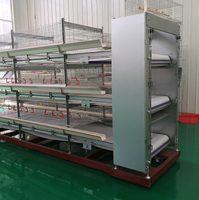 Cage à poulets à étages superposés, équipement d'élevage avicole, collecte automatique des œufs, galvanisation à chaud, pour machine d'élevage de poules pondeuses