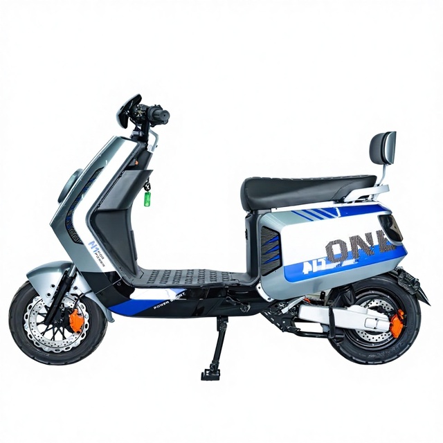 DISIYUAN N1 Off-road New Design Steel Fatbike 1000watt 1500 Watt 2000w Tumbler Electric Scooter Lithium Battery 10" Citycoco MTB