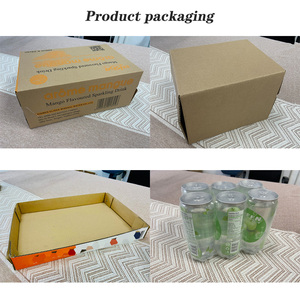 Portakal İçecekleri Rani Meyve Suyu Fruktozlu Meyve ve Sebze Suyu 350ml PET ŞİŞE Meyve Aromalı Gazlı İçecekler Doğal Meyve Suyu - Product Image 6