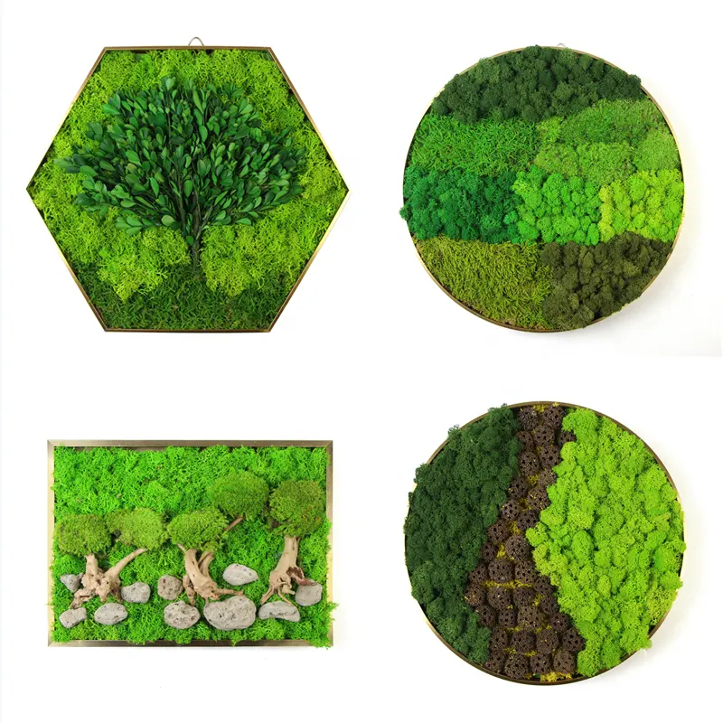 DIY design handmade natural green wall art preserved moss plant frame
