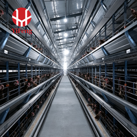 Cage à batterie de type H robuste avec système de collecte automatique des œufs par convoyeur pour l'élevage et la récolte des œufs des poules pondeuses