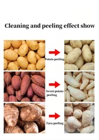 Machine industrielle de lavage et de nettoyage des fruits, légumes, pommes de terre, manioc et gingembre en acier inoxydable