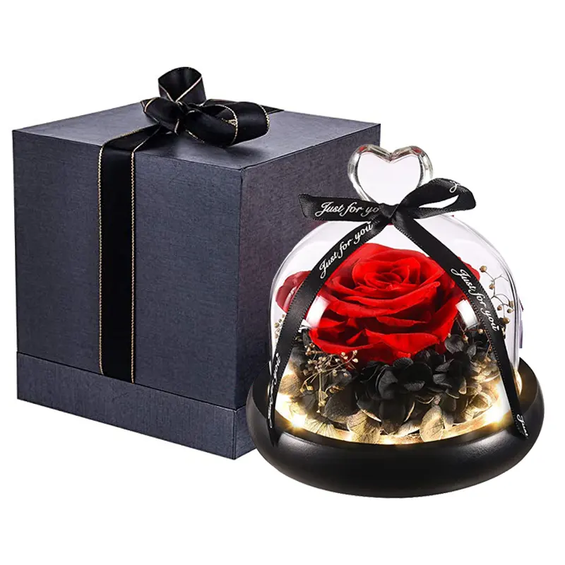 Gift In Glass Dome With LED Lights Eternal Rose Red Forever Roses Romantic Gift For Women Mother's Day Preserved Roses
