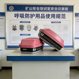 Cartouche multi-gaz, vapeur, <span class=keywords><strong>filtre</strong></span>, P100, 60926/60923/60921 - Product Image 6