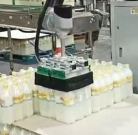 Palettiseur collaboratif 50 kg, bras robotisé industriel, empilage automatique pour cartons, caisses et sacs lourds dans les entrepôts logistiques