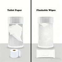 Lingettes jetables biodégradables non parfumées pour adultes, lingettes humides pour l'hygiène intime, lingettes nettoyantes pour les fesses, prix d'usine