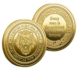Moneta Commemorativa 3D in Ferro Pressofuso Personalizzata PANBO, Collezione Creativa con Motto Ispirazionale, Ornamento in Oro e Argento - Product Image 1