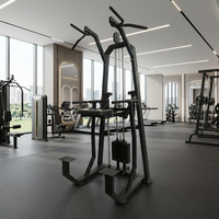 Tour de musculation multifonctionnelle professionnelle avec barre de traction et station de dips pour entraînement de force