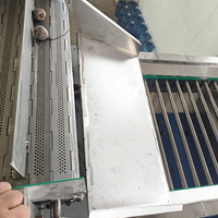 Automatische roller sorteermachine voor citroenen, uien, kersentomaten, wortelgroenten en andere groenten op basis van maat.