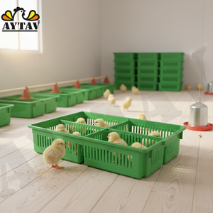 Wholesale New Super Quality <b>Plastic</b> Big Chick Box 4 Compartments 100 Chick Capacity H-Type Long Service Life Home Farm Use AYTAV - Product Image 3