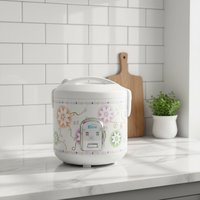 Cuisinière à riz électrique multifonction 1,1-2L, revêtement antiadhésif, acier inoxydable, minuterie mécanique portable, écologique, cuisson rapide