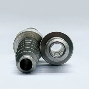<span class=keywords><strong>Vite</strong></span> diritta per tubo del carburante in acciaio inossidabile - Product Image 2