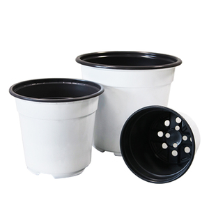 Pots de semis biodégradables fabriqués en Chine pour les plantes de pépinière - Product Image 5