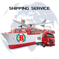DDU International Logistics Company Agent d'expédition de porte à porte pour l'Arabie saoudite Inde LCL + Agent de fret express Dropshipping